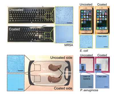 Durable Antimicrobial Coating Kills Drug-Resistant Bacteria in Minutes