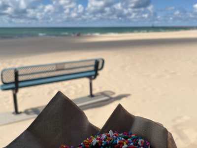 The-Year-of-Slowing-Down-Project