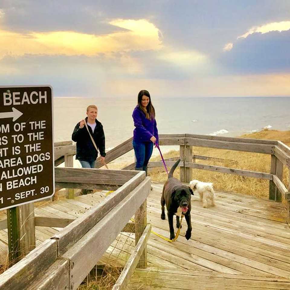 Work Hard, Play with Your Pup: Your Muskegon Workcation at Silversides House